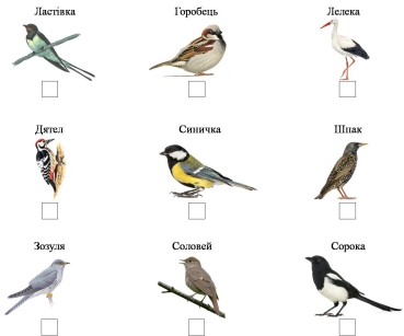 Презентація з інтегрованого уроку Навчання грамоти і Природознавство для 1  класу на тему «Птахи. Зіставлення звуків [ж] – [ш]» | Презентація.  Природознавство